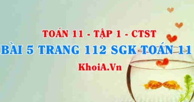 Bài 5 trang 112 SGK Toán 11 Tập 1 Chân trời sáng tạo